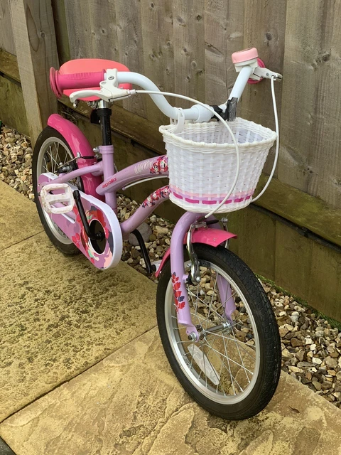 Apollo wild best sale rose 16 bike