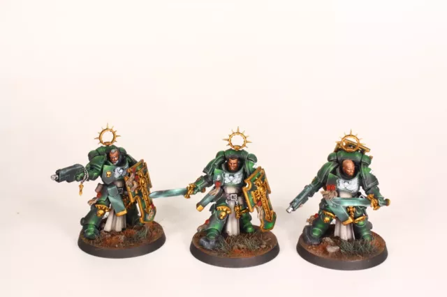 Ready to ship / Warhammer 40 000 40k pro painted Dark angels Bladeguard veterans