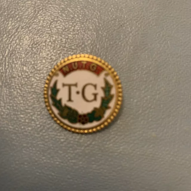 Townswomens Guild Enamel Pin Badge