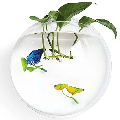 Noodoky Betta Fish Tank Bowl 11.8in, Wall Mounted Beta Fish Small Aquarium