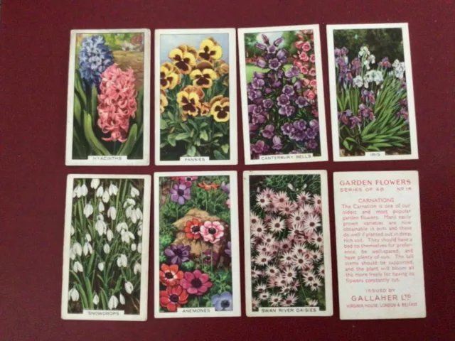 Gallaher Cigarette Cards- GARDEN FLOWERS -SELECT THE CARDS YOU REQUIRE