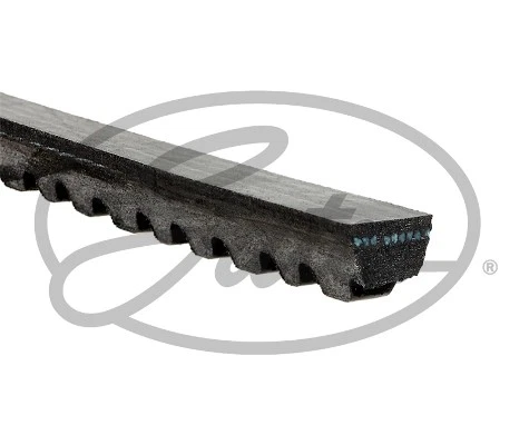 DRIVE BELT FITS AUTOBIANCHI V Belt Gates 4164623 Genuine Top