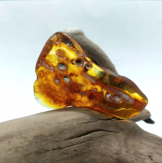 Loose Natural Baltic Amber Stone Cognac Color Polished Large 17,6 Grams!
