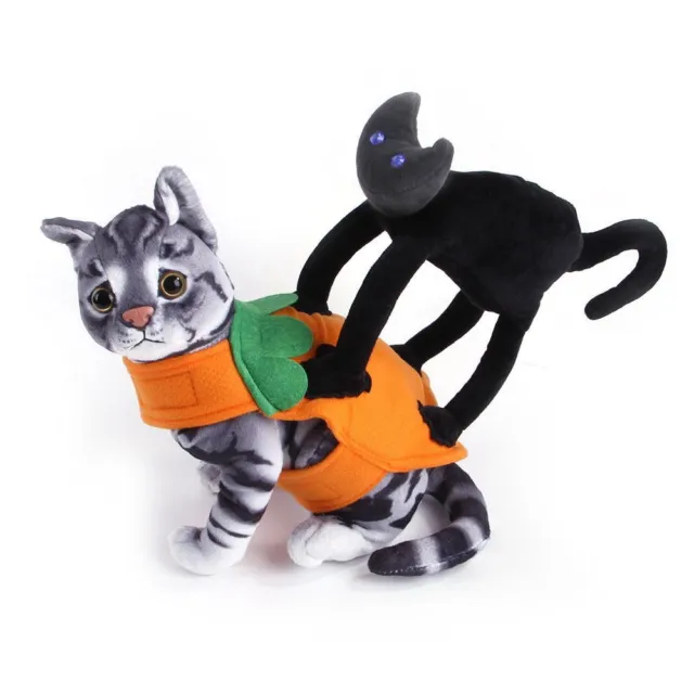 pour chat Animal de compagnie transformé en Halloween Petit chat noir Costumes