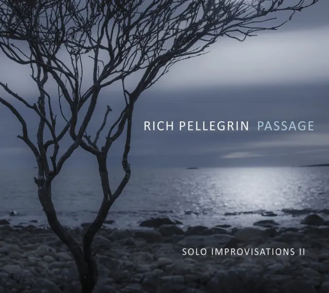 Pellegrin,rich Passage: Solo Improvisations II CD OA222199 NEW