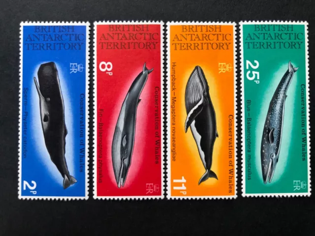 British Antarctic Territories 1977 ‘Whales ‘Mint Never Hinged VF set Sg 79-82