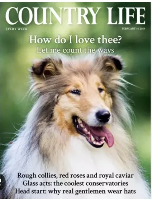 COUNTRY LIFE MAGAZINE - 14 FEBRUARY 2024 ISSUE 7. How Do I Love Thee… VGC