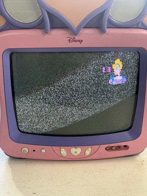 Disney Princess Pink 13