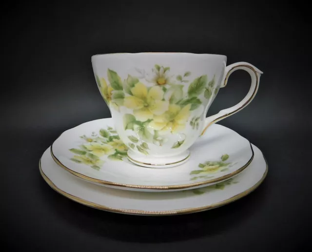 Vintage Duchess Sharron Floral Bone China Trio Tea Cup Saucer Plate England