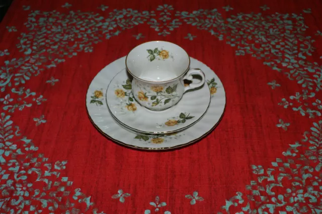 edles Sammelgedeck Seltmann Weiden Royal China Goldrand gelbe Rosen