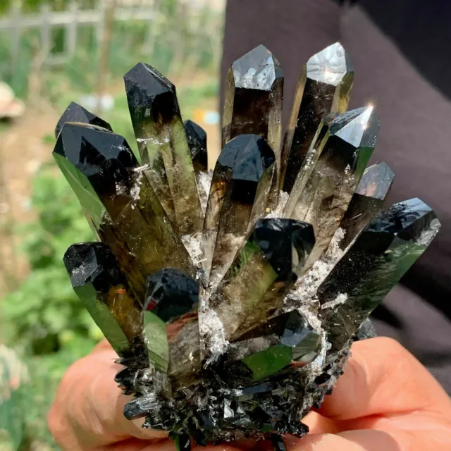 New Find black Phantom Quartz Crystal Cluster Mineral Specimen Healing 300g/1pc