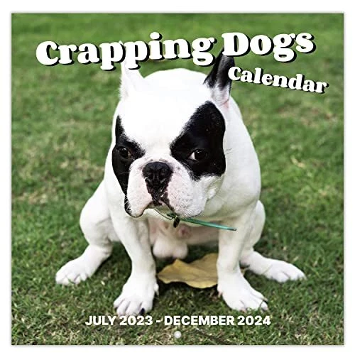 2023 2024 wall calendar 18 monthly pooping dogs calendar jul 2023 dec 2024 7 94 picclick