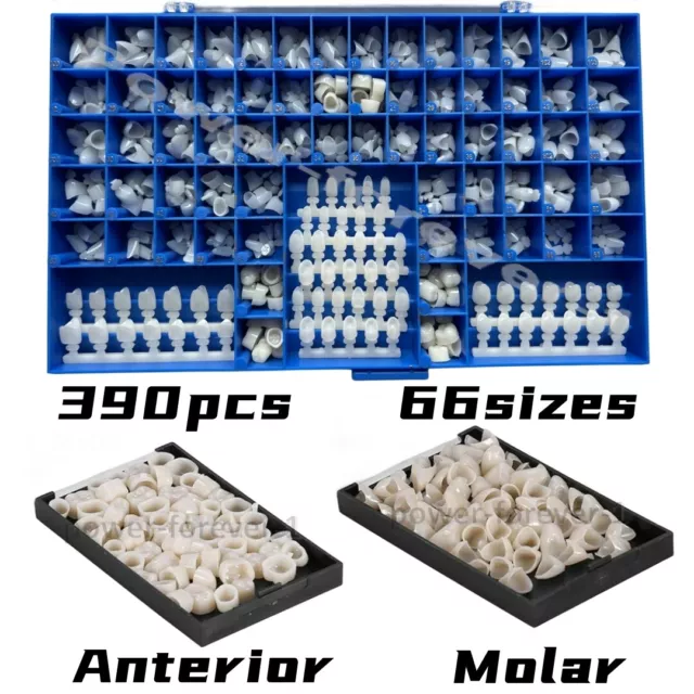 Temporary Dental Crowns 66Sizes Crown Mold Guides Premolar Molar Anterior Cuspid