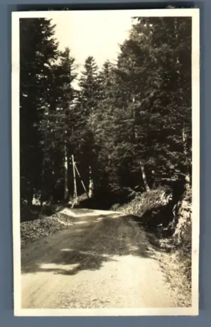 France, Environs de Grenoble, Route dans les bois  Vintage silver print.   Tir