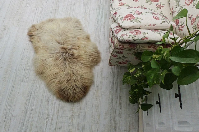 Alfombra de piel de oveja real manta de piel de oveja genuina decoración de sala de caza cuero beige