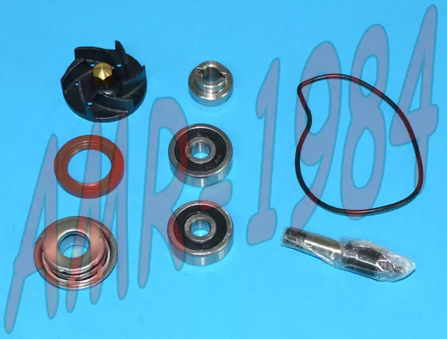Set Révision Pompe à Eau H2O scooter piaggio Piaggio 250 300 100110440