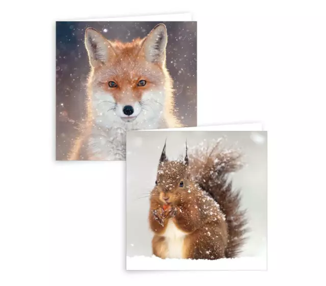 Lot de 10 cartes de vœux de Noël carrées design écureuil et renard