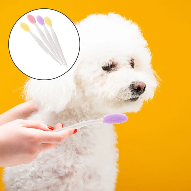 4 Pcs Cure Dentistiche Per Animali Domestici Spazzolino Dentifricio Cuccioli