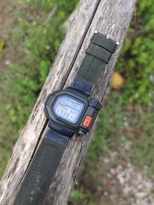 casio tsr
