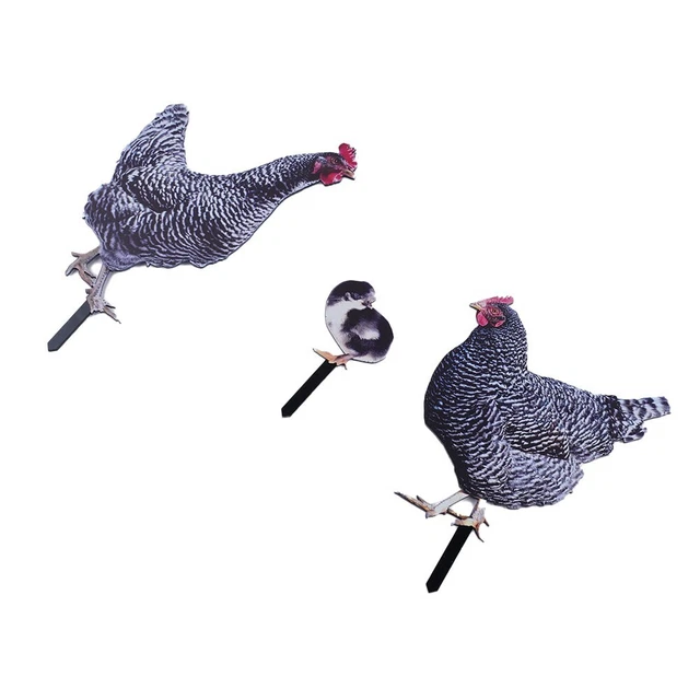 Realistic Rooster Statues Acrylic Garden Sculptures & Statues Chicken Ornament