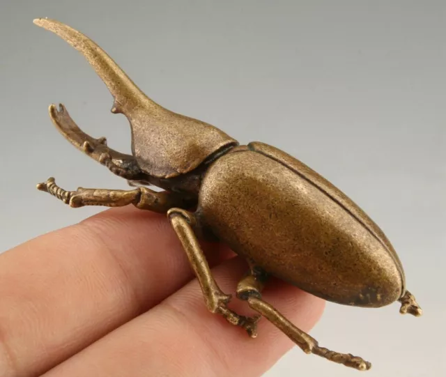 Collected Brass Solid Insect Statue Unicorn Beetle Dynastes Beatles Collect gift