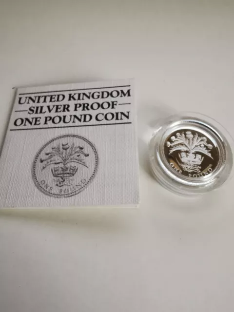 Royal Mint - 1984 UK Silver Proof £1