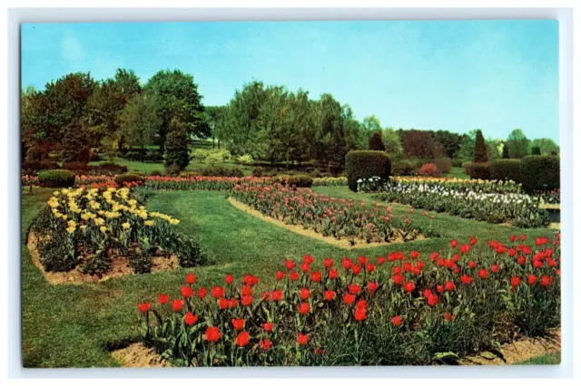 Vintage Postcard Hershey Rose Garden Tulip Display Chocolate Town USA Hershey PA