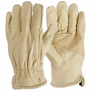 6 Pack - Pigskin Leather Driver Gloves, XL -9334-26