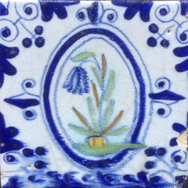 Antique Early Dutch Delft Maiolica Tile Flower in Oval Circa 1625