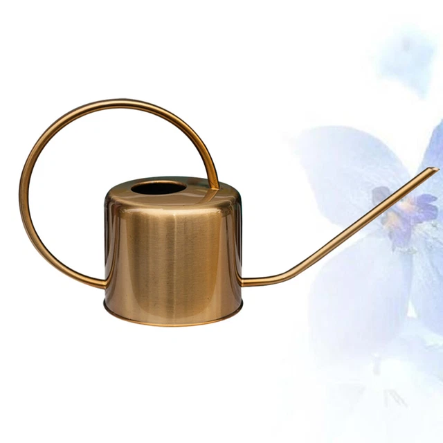 Watering Spray Bottle Flower Spray Kettle Watering Can Indoor Small Watering Can