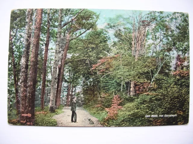 Aberystwyth postcard - Cwm Woods. (Near Tywyn, Barmouth etc)