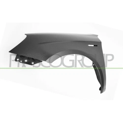 Parafango Interno PRASCO Per RENAULT KANGOO 8033533152535 - 8