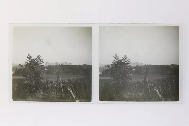 France Vigne Photo Stereo P50L3n14 Glass Plate Vintage c1930