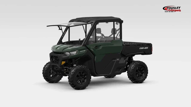 2024 Can-Am Defender Dps Cab Hd9
