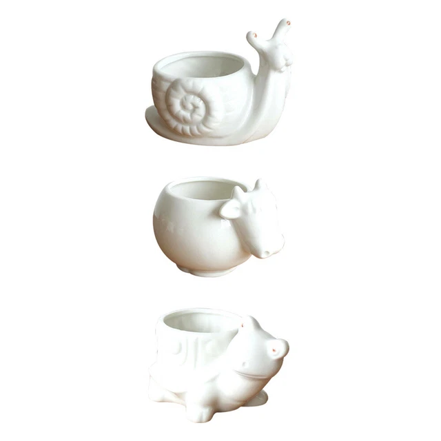 3 Stücke Keramik Sukkulenten Töpfe Weiß Porzellan Tierform Pflanze Vase