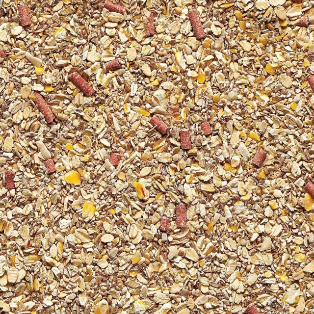 Gardman No Grow Seed Mix Wild Bird Food Extra Suet Pellets Bird Feed 12.75Kg 2