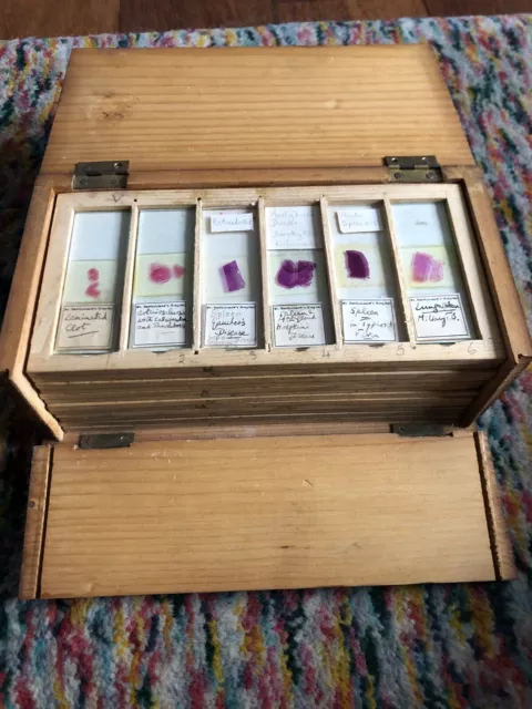 Cased collection of 72 antique microscope slides.