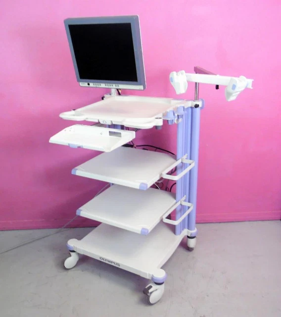 Olympus KEYMED WM-WP1 Workstation Endoscopic Video Cart Stand w/ LCD Monitor