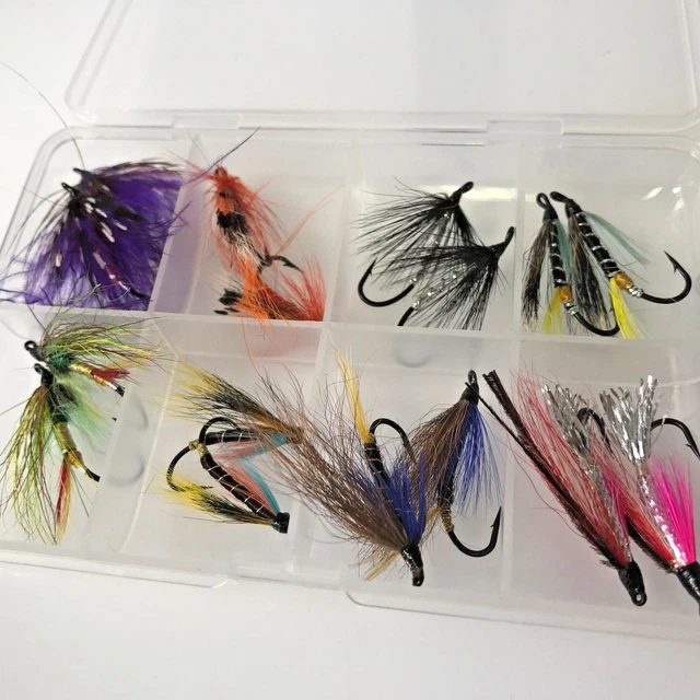 Boîte De Mouches De Pêche Pour Saumon - 24 Mouches Doubles - Tailles Hameçons 6-10 - Neuf