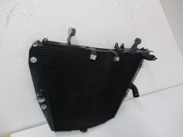 Kühler Wasserkühler  HONDA CBR1000RR SC59 2008-2009