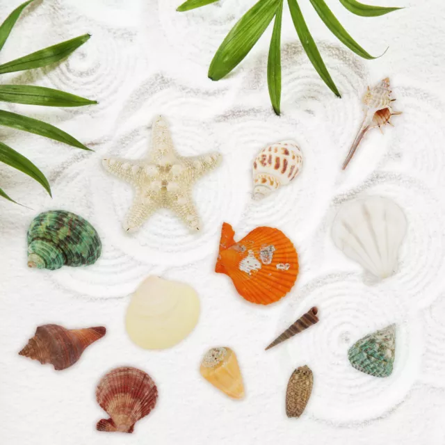 45pcs Mixed Crafts Sea Shell Ocean Star Charms Beach Photo Props Natural Conch