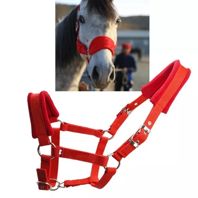 Comfy Horse Halter Soft Bridle Head Collar Strap Equipment  Anti-friction