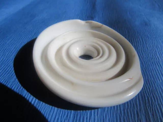 Authentic Natural Ndoro Shell Zimbabwe Africa
