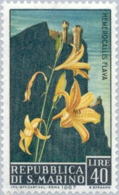 San Marino 1967 Scott 658 Sello ** Flora Flores Hemerocallis flava Michel 884