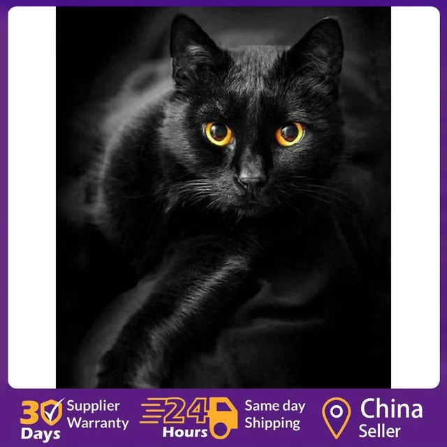 5D Diamond Painting Kit DIY black cat Full Round Drill Mosaic(HJ499) ☘️