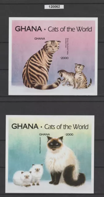 Ghana 1994 Fauna Katzen 2 Bf ND MNH MF120062