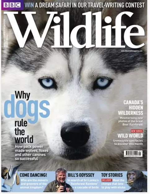 BBC Wildlife Magazine - Ausgabe Januar 2011 - NIE GEÖFFNET, NOCH VERSIEGELT