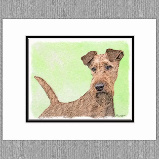 Irish Terrier Dog Original Art Print 8x10 Matted to 11x14