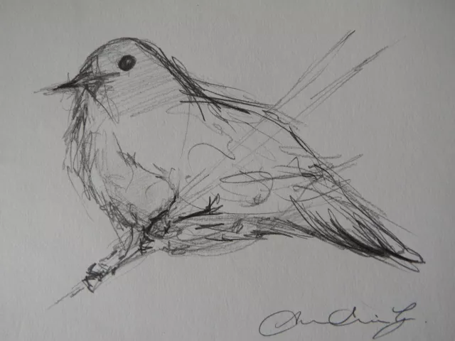 Original expressive small pencil sketch drawing of a bird on ivory white  paper