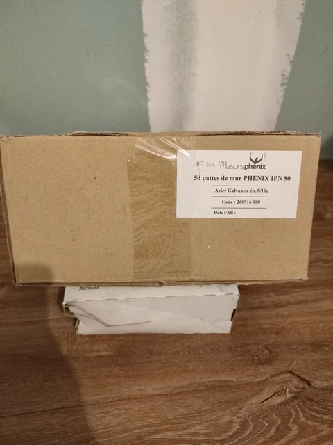 Lot de 50 pattes de mur maison PHENIX